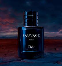 sauvage-elixir